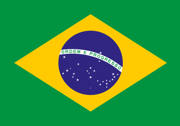 Brazil Flag