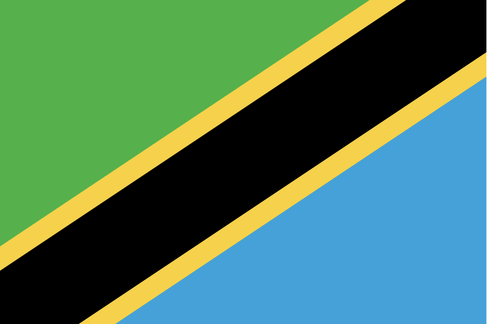 Tanzania Flag